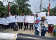 Diduga Ubah Kawasan Hutan Jadi Kebun Sawit, Kelompok 80 Minta Presiden Tutup PT DMK