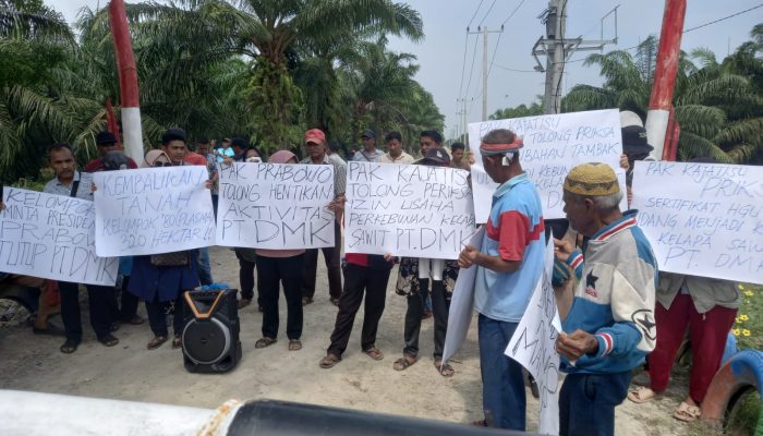 Diduga Ubah Kawasan Hutan Jadi Kebun Sawit, Kelompok 80 Minta Presiden Tutup PT DMK