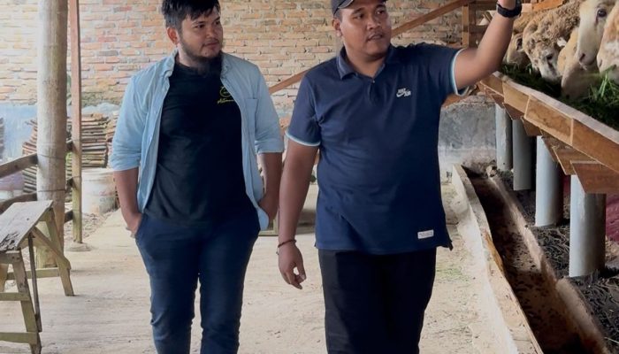 Usia Muda Tak Halangi Fadlan Lubis Rintis Usaha Halal Peternakan Kambing MarduaFarm