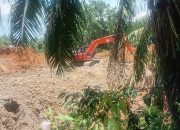 Diduga Ilegal, Aktivitas Galian C di Perkebunan Sawit Pabatu Sergai Tuai Sorotan