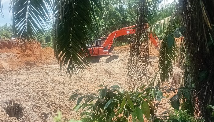 Diduga Ilegal, Aktivitas Galian C di Perkebunan Sawit Pabatu Sergai Tuai Sorotan