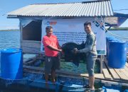 Pelatihan Pembuatan Fitobiotik Suplemen Simplisia untuk Peningkatan Kesehatan dan Produksi Ikan Kerapu di Desa Tapian Nauli I