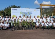 PLN Nusantara Power Unit Pembangkit Pandan Gelar Penanaman 200 Bibit Pohon di Sipansihaporas