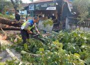 Sat Lantas Polres Sergai Bersihkan Pohon Tumbang di Jalinsum, Masyarakat Beri Apresiasi