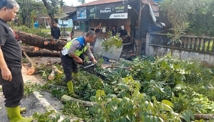 Sat Lantas Polres Sergai Bersihkan Pohon Tumbang di Jalinsum, Masyarakat Beri Apresiasi