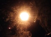 Malam hari, Damkar Sergai Evakuasi Sarang Tawon di SMKN 1 Teluk Mengkudu