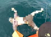 Nelayan Hanyut di Selat Malaka Sergai Akhirnya Ditemukan di Perairan Asahan