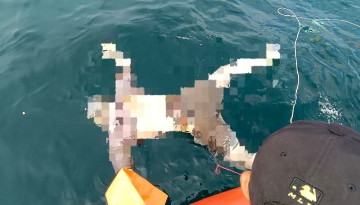 Nelayan Hanyut di Selat Malaka Sergai Akhirnya Ditemukan di Perairan Asahan