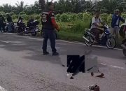 Pengendara Harley Davidson Tewas Tertabrak Trailer di Jalinsum Sergai