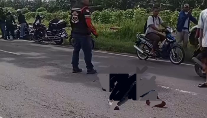 Pengendara Harley Davidson Tewas Tertabrak Trailer di Jalinsum Sergai