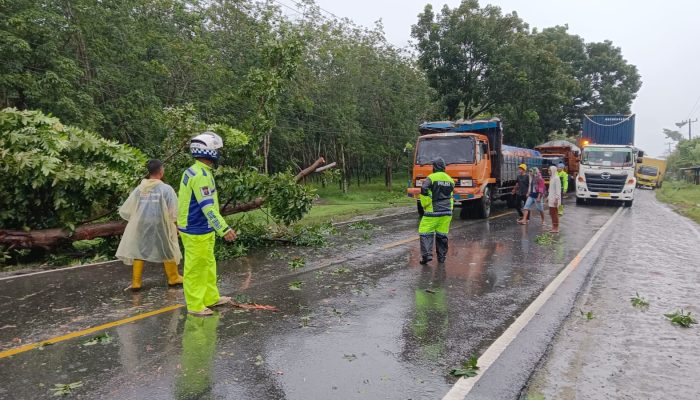 Angkot Terbalik dan Pohon Tumbang di Jalinsum, Satlantas Polres Sergai Gerak Cepat Evakuasi dan Atasi Kemacetan