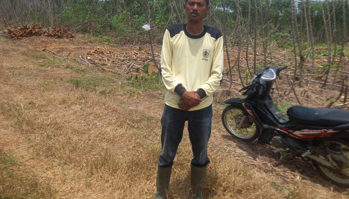 Security Kebun PT Sidojadi Sergai Jadi Korban Pengeroyokan, Korban Kenali Pelaku