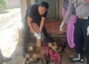 Warga Serbajadi Digegerkan Penemuan Mayat Pria Diduga ODGJ
