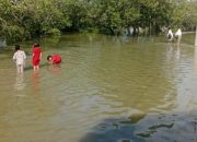 Banjir Rob Rendam Pesisir Tanjung Beringin, Kantor Desa Ikut Tergenang