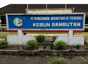 Manager PTPN IV Kebun Rambutan Tidak Ada Perdamaian untuk Burjek Terduga Kasus Pencurian TBS